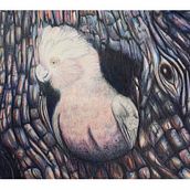 My project in Surrealist Illustration Inspired by Nature course. Traditional illustration, Pencil Drawing, Drawing, Artistic Drawing, and Naturalistic Illustration project by Jody Bouchereau - 09.30.2021