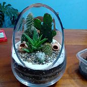 Mi Proyecto del curso: Arte vegetal: crea tu propio terrario abierto. Interior Design, L, scape Architecture, Decoration, DIY, Floral, and Plant Design project by Pamela Castañeda C - 09.19.2021