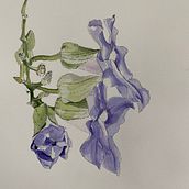 watercolor - my beginnings. Watercolor Painting project by Laura Schuler - 10.01.2021