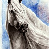 My project in Expressive Animal Portraits in Watercolor course White Horse study. Un proyecto de Ilustración tradicional, Pintura a la acuarela, Dibujo realista e Ilustración naturalista				 de Lucie Mizutani - 01.10.2021