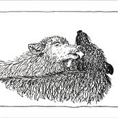 31Days 31Drawings 2021. Traditional illustration project by Felicia Farah - 10.01.2021