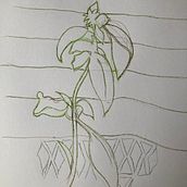 31 days 31 drawings 2021. Drawing project by Kenneth McLoone - 09.12.2021