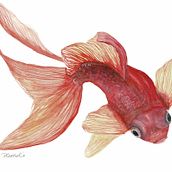 Aquarelles. Un projet de Design  et Illustration traditionnelle de Diane Gosselin - 03.10.2021