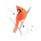 Mi Proyecto del curso: Acuarela artística para ilustración de aves: Cardenal. Traditional illustration, Watercolor Painting, Realistic Drawing, and Naturalistic Illustration project by Cecilia Rodríguez Barreiro - 08.18.2021