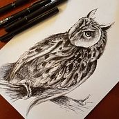 Owl night vision. Un progetto di Illustrazione con inchiostro e Disegno di Kseniia Botsuliak - 02.10.2021