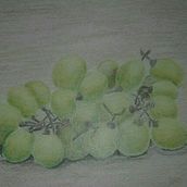 Lapices de colores. Een project van Traditionele illustratie,  Artistieke tekening y Naturalistische illustratie van Ana Mile Sanabria - 04.10.2021