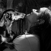 Mi Proyecto del curso: Fotografía lifestyle de perros . Photograph, Portrait Photograph, Instagram Photograph, Documentar, Photograph, Lifest, and le Photograph project by María Laura Giorda - 02.27.2021