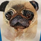 My project in Expressive Animal Portraits in Watercolor course. Traditional illustration, Watercolor Painting, Realistic Drawing, and Naturalistic Illustration project by Pauline Hughes - 10.05.2021