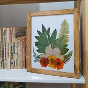 Meu projeto do curso: Técnicas básicas para prensar flores e plantas. Un progetto di Artigianato, Belle arti, Collage, DIY e Design floreale e vegetale di gabsandle - 05.10.2021