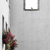 Vermelhos serão os cravos / Rouges seront les œillets.. Een project van Schrijven,  Creativiteit, Stor, telling y Verhaallijn van Marine N. - 06.10.2021