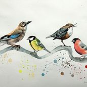 My project in Artistic Watercolor Techniques for Illustrating Birds course. Projekt z dziedziny Trad, c, jna ilustracja, Malowanie akwarelą, R, sunek realist, czn, Ilustracja naturalist i czna użytkownika Marianne Elvan Barfoed - 06.10.2021