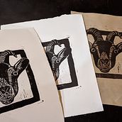 Linocut Prints of Plants and Animals. Fine Arts, and Traditional illustration project by Rebecca Elyanow - 10.03.2021