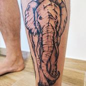 Sofia Chiarenza  Ein Projekt aus dem Bereich Tattoodesign von Sofia Chiarenza - 07.10.2021