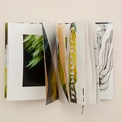 Eu, a Árvore e o caminho. Een project van Fotografie,  Tekening, Beeldhouwwerk y Borduurwerk van Laura Jeunon - 07.10.2021