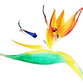 La nature. Watercolor Painting, and Pencil Drawing project by Claire Chartier - 10.08.2021