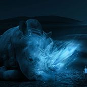 Mi Proyecto del curso: Secretos del fotomontaje y el retoque creativo. Photograph, Photograph, Post-production, VFX, Photo Retouching, Fine-Art Photograph, Photographic Composition, and Photomontage project by Adilso Jose Chacón Pedreañez - 10.08.2021