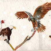 My project in Artistic Watercolor Techniques for Illustrating Birds course: Far Across the Sea. Un proyecto de Ilustración tradicional, Pintura a la acuarela, Dibujo realista e Ilustración naturalista				 de Mary Roß - 07.10.2021