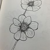 My project in Botanical Sketchbooking: A Meditative Approach course . % jsyhww tarafından hazırlanan Geleneksel illüstras, on, Eskiz çizimi, Çizim, Sulubo, a Resim, Botanik İllüstras, on, Ve Eskiz defteri projesi - 10.06.2021