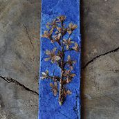 Meu projeto do curso: Técnicas básicas para prensar flores e plantas. Arts, Crafts, Fine Arts, Collage, DIY, Floral, and Plant Design project by Lucia Thomaz - 10.10.2021