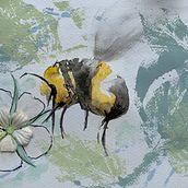 My project in Illustrating Nature: A Creative Exploration course. Traditional illustration, Painting, Drawing, Watercolor Painting, Ink Illustration, and Naturalistic Illustration project by rebeccalwatson - 10.10.2021