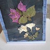 Mi Proyecto del curso: Técnicas básicas de prensado botánico. Un proyecto de Artesanía, Bellas Artes, Collage, DIY, Diseño floral y vegetal de Nereida Hernández Delgado - 11.10.2021