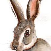 Meu projeto do curso: Técnicas experimentais de aquarela para principiantes . Ilustração tradicional, Artes plásticas, Pintura em aquarela e Ilustração naturalista projeto de Sabrina Eliza Rodrigues - 16.03.2021