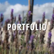 My Portfolio. Traditional illustration, and Motion Graphics project by Selene Fuentes Eugenio - 10.11.2021