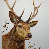 My project in Expressive Animal Portraits in Watercolor course Ein Projekt aus dem Bereich Traditionelle Illustration, Aquarellmalerei, Realistische Zeichnung und Naturalistische Illustration von Lori Tews - 12.10.2021