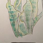 my cute plant. Un projet de Illustration traditionnelle de yanyantse321 - 12.10.2021