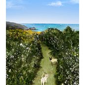 Path to Petit Port. Traditional illustration project by Bronnie James - 09.30.2021