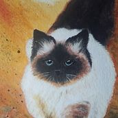 Animais fofos. Painting project by Edna Ogaki - 10.14.2021