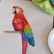 Mi Proyecto del curso: Ilustración naturalista de aves con acuarela. Traditional illustration, Watercolor Painting, Realistic Drawing, and Naturalistic Illustration project by Mayela Lau - 10.15.2021
