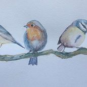 My project in Artistic Watercolor Techniques for Illustrating Birds course. Traditional illustration, Watercolor Painting, Realistic Drawing, and Naturalistic Illustration project by fourliddles - 10.15.2021