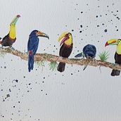 My project in Artistic Watercolor Techniques for Illustrating Birds course. Traditional illustration, Watercolor Painting, Realistic Drawing, and Naturalistic Illustration project by Kate - 10.14.2021