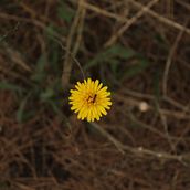 Mi Proyecto del curso: Introducción a la fotografía digital. Photograph, and Digital Photograph project by Neus Raluy colominas - 10.16.2021