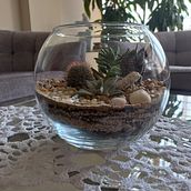 Mi Proyecto del curso: Arte vegetal: crea tu propio terrario abierto. Floral, Plant Design, Interior Design, L, scape Architecture, Decoration, and DIY project by gennys Restituyo Paradas - 10.14.2021