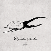 Meu projeto do curso: Sketching diário para inspiração criativa Ein Projekt aus dem Bereich Traditionelle Illustration, Skizzenentwurf, Kreativität, Zeichnung und Sketchbook von Ryuu Pezzi - 11.10.2021