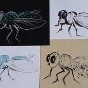 Mon projet du cours : Illustrer la nature : une exploration créative. Projekt z dziedziny Trad, c, jna ilustracja,  Malarstwo,  R, sunek, Malowanie akwarelą,  R, sunek atramentem, Ilustracja naturalist i czna użytkownika claude_hamel9 - 12.10.2021