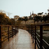 Parque Cidade de Toronto. Photograph project by Leonardo Benites Voidela - 10.18.2021