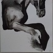 Caballo de tinta. Ink Illustration project by Lya Bencosme - 10.18.2021