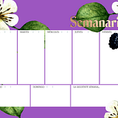 Mój projekt z kursu: Ilustracja botaniczna akwarelą. Projekt z dziedziny Trad, c, jna ilustracja,  Sztuki piękne,  Malarstwo,  R, sunek, Malowanie akwarelą, R i sunek botaniczn użytkownika ewapotera - 19.09.2021