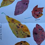 My project in Creative Watercolor Sketching for Beginners course. Traditional illustration, Sketching, Creativit, Drawing, Watercolor Painting, and Sketchbook project by Beth Stafa - 10.10.2021