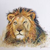 Mi Proyecto del curso: Retratos expresivos de animales en acuarela. Un proyecto de Ilustración tradicional, Pintura a la acuarela, Dibujo realista e Ilustración naturalista de Gabriela Izurieta Rivero - 19.10.2021