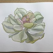 Mi Proyecto del curso: Sketchbook botánico: una aproximación meditativa. Traditional illustration, Sketching, Drawing, Sketchbook, Watercolor Painting, and Botanical Illustration project by Julie Million - 10.19.2021