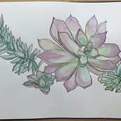 This was more successful than my first succulent. Will play around with blending colors more.. Traditional illustration project by Julie Million - 10.20.2021