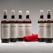 Aiko Group . Design de produs și Denumiri de LaTapadera Creaciones - 10.20.2021