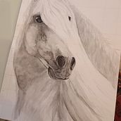 My project in Expressive Animal Portraits in Watercolor course. Traditional illustration, Watercolor Painting, Realistic Drawing, and Naturalistic Illustration project by Michelle Harvey - 10.20.2021