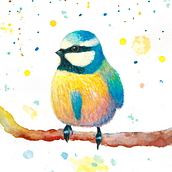 Blues (protected by copyrights). Een project van Traditionele illustratie, Aquarelschilderen, Naturalistische illustratie y Realistische tekening van Irja Irija - 20.10.2021