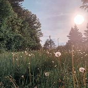 Meu projeto do curso: Fotografia profissional para Instagram . Iklan, Fotografi, Pemasaran, Media Sosial, Fotografi Seluler, Fotografi Produk, Pemasaran Seluler, Instagram, Fotografi Instagram, Fotografi Ga, Dan a Hidup proyek oleh Adriano e Amanda - 10.18.2021