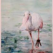 Spoonbill. Un proyecto de Pintura a la acuarela de Tyler Scott - 03.11.2020
